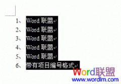 Word2003快速取消所有项目编号格式